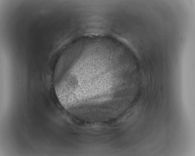 X0000115141399200911241456