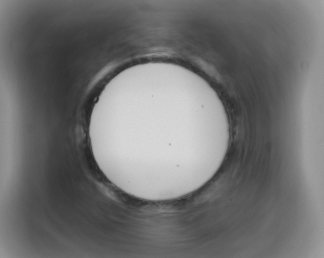 X0000115141400200911241456