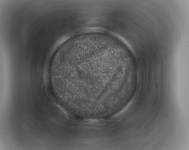 X0000115141405200911241456