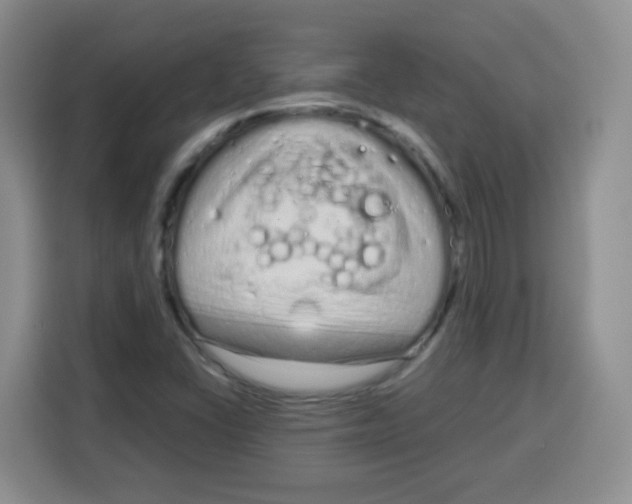X0000115141406200911241456