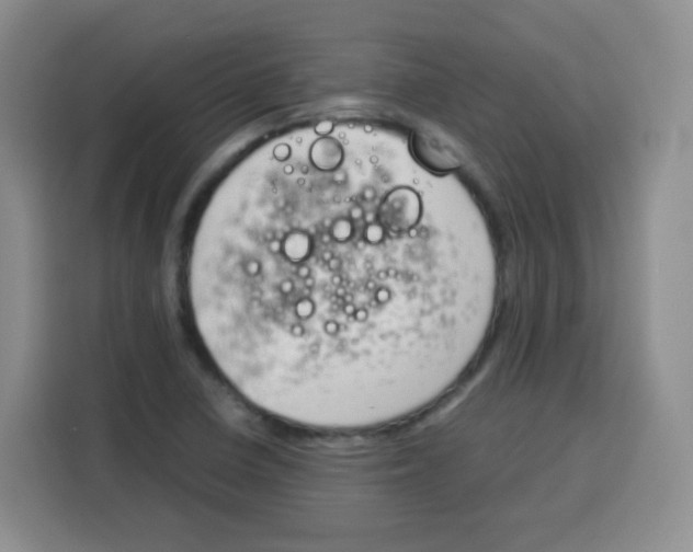 X0000115141410200911241456