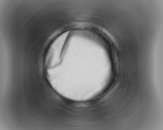 X0000115141411200911241456