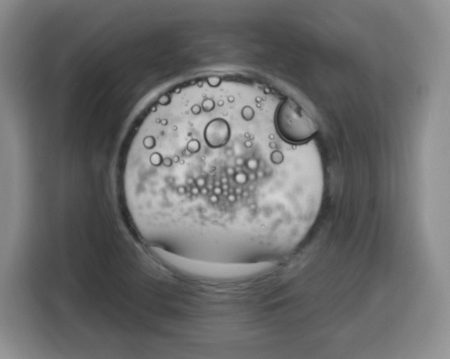 X0000115141412200911241456