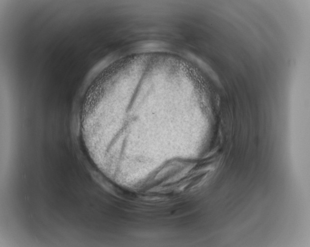 X0000115141413200911241456