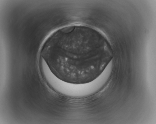 X0000115141414200911241456