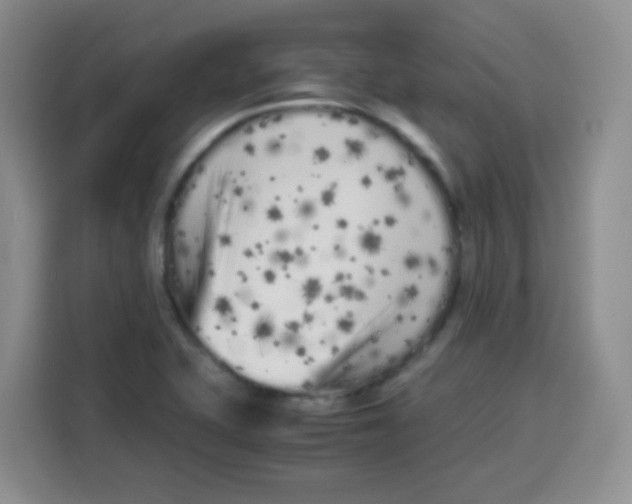 X0000115141415200911241456