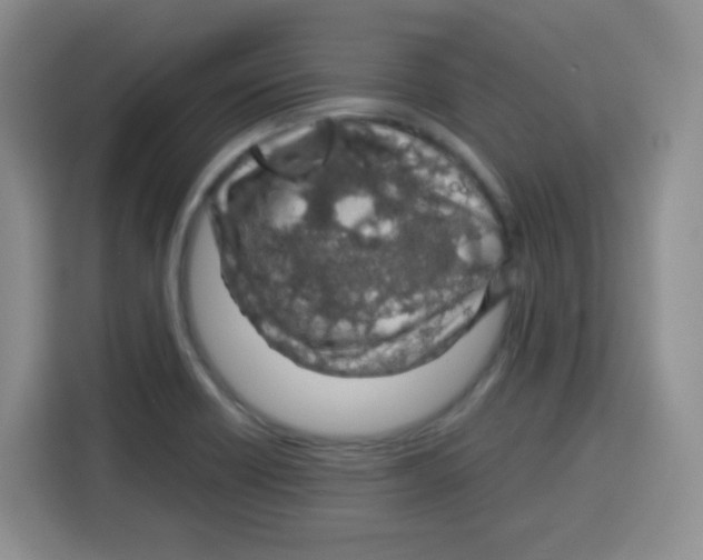 X0000115141418200911241456