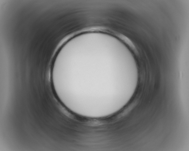 X0000115141420200911241457