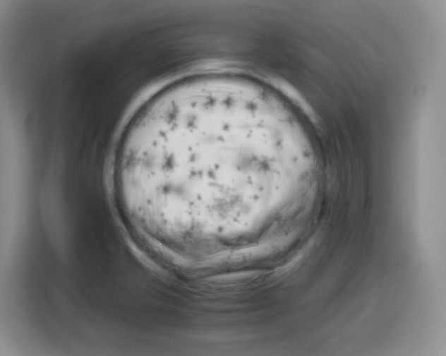 X0000115141421200911241457