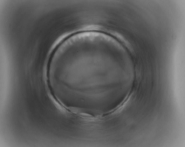 X0000115141422200911241457