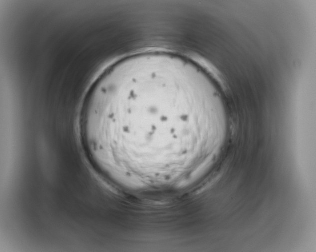 X0000115141423200911241457