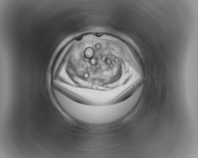 X0000115141424200911241457