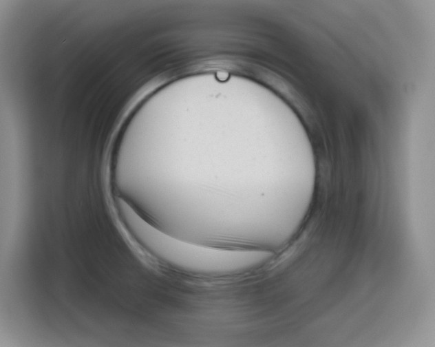 X0000115141426200911241457
