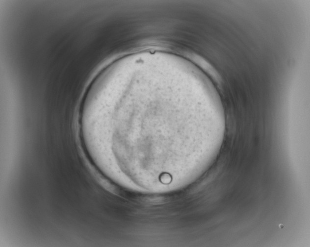X0000115141431200911241457