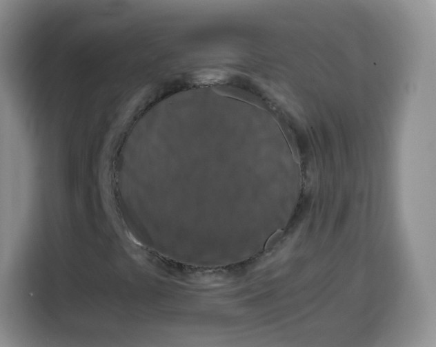 X0000115141441200911241456