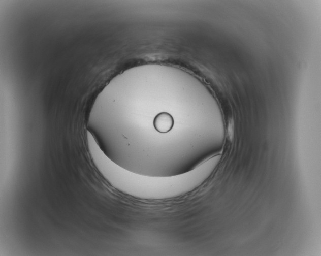 X0000115141444200911241456