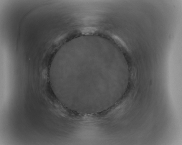 X0000115141445200911241456