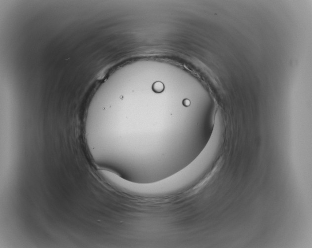 X0000115141449200911241456