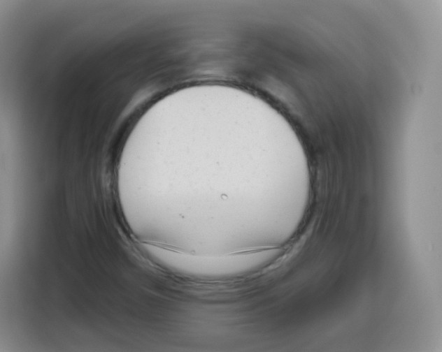 X0000115141450200911241456