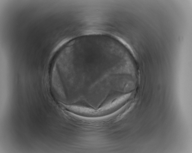X0000115141453200911241456
