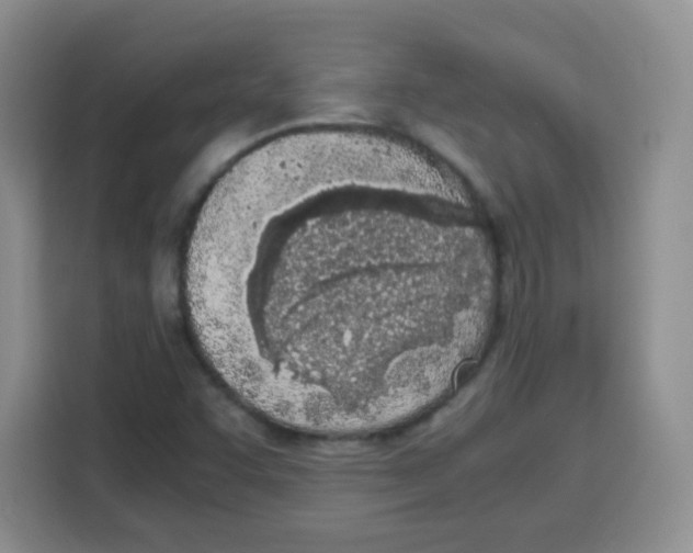 X0000115141455200911241456