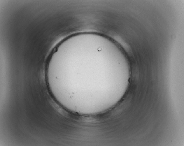 X0000115141460200911241456