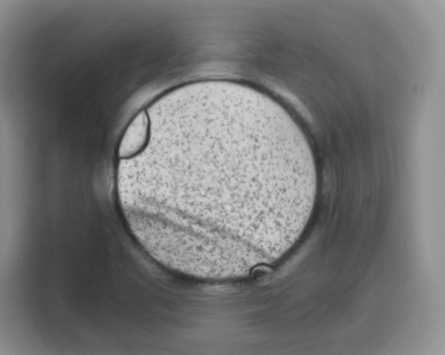 X0000115141461200911241456