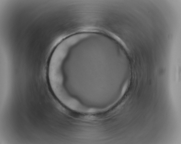 X0000115141463200911241456