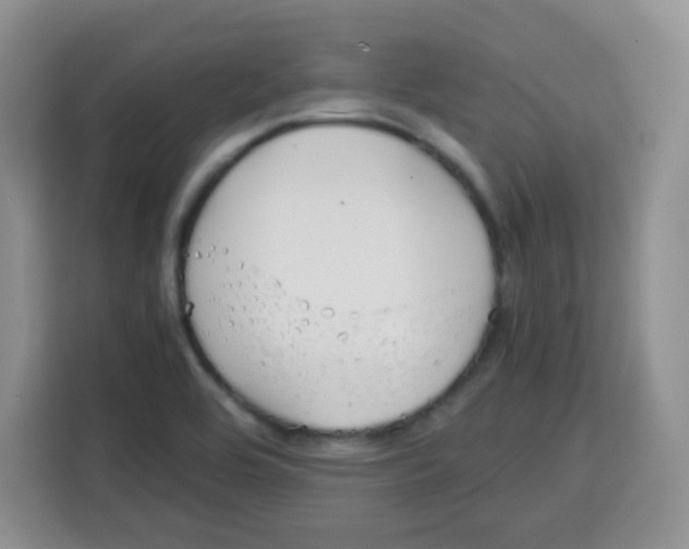 X0000115141464200911241456