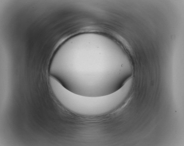 X0000115141465200911241456