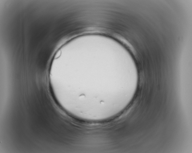 X0000115141467200911241456