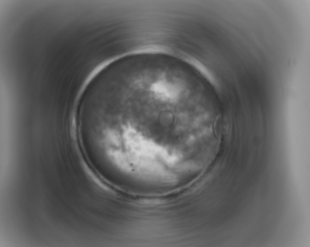 X0000115141468200911241456