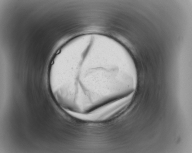 X0000115141469200911241456