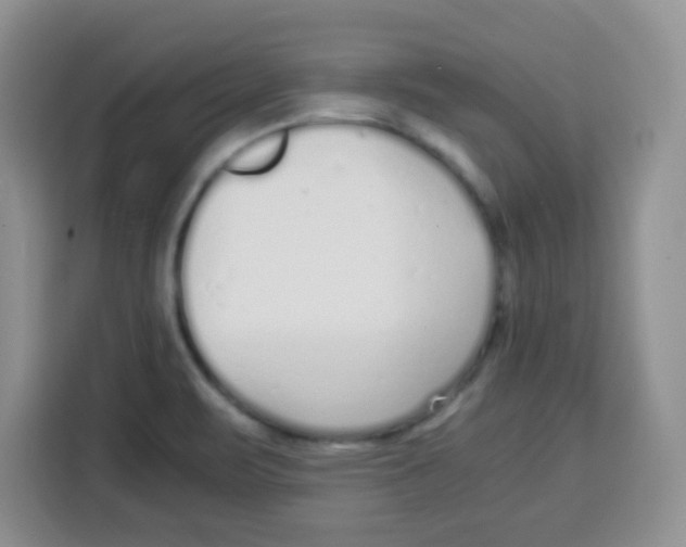 X0000115141471200911241456