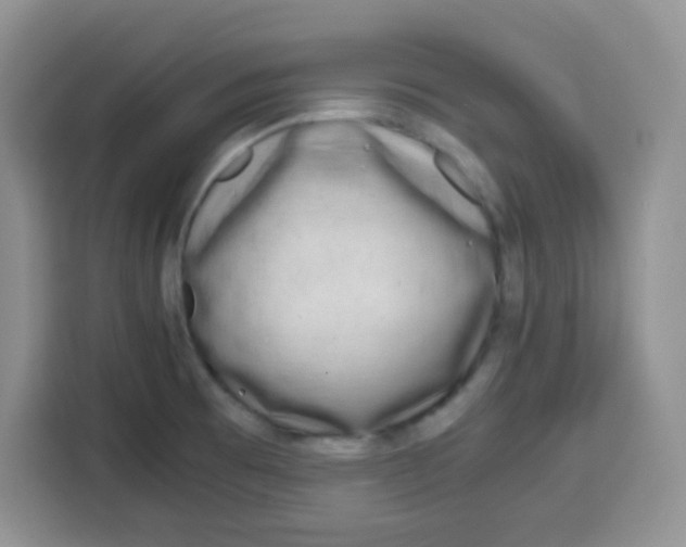 X0000115141473200911241456