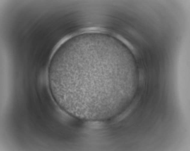 X0000115141474200911241456