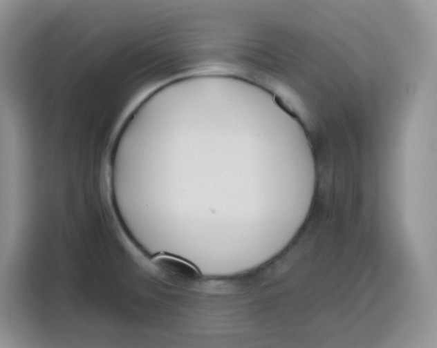 X0000115141476200911241456