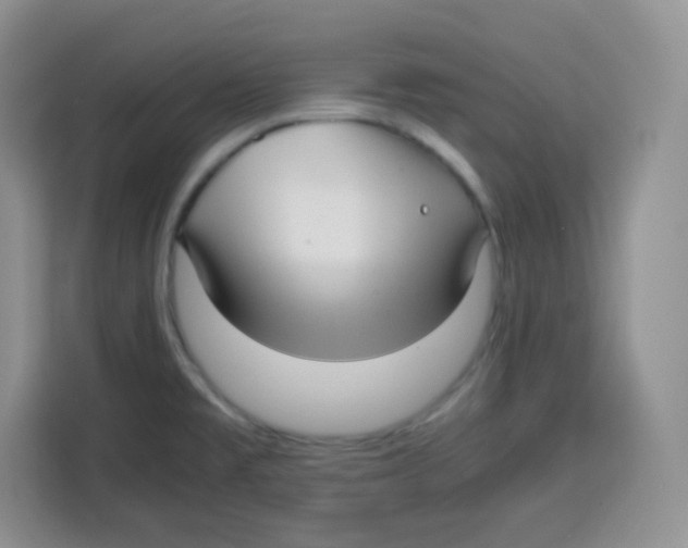 X0000115141477200911241456