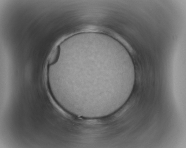 X0000115141479200911241456