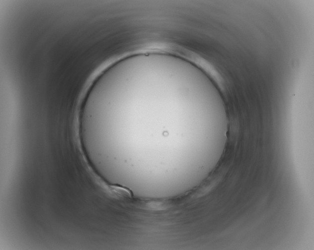 X0000115141480200911241456