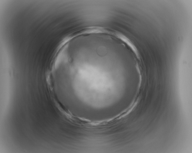 X0000115141481200911241456