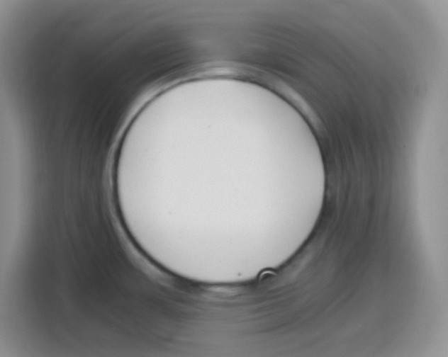 X0000115141483200911241456