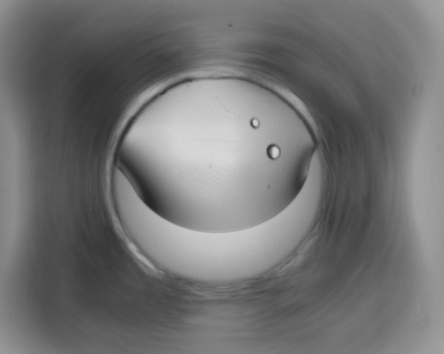 X0000115141485200911241456