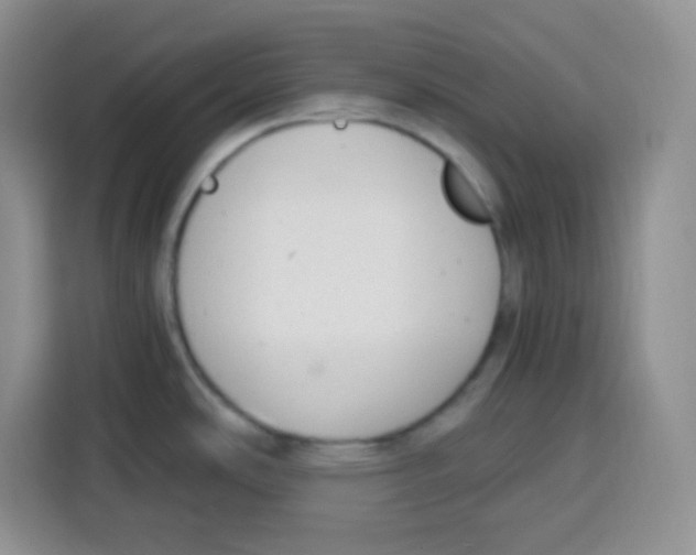 X0000115141486200911241456