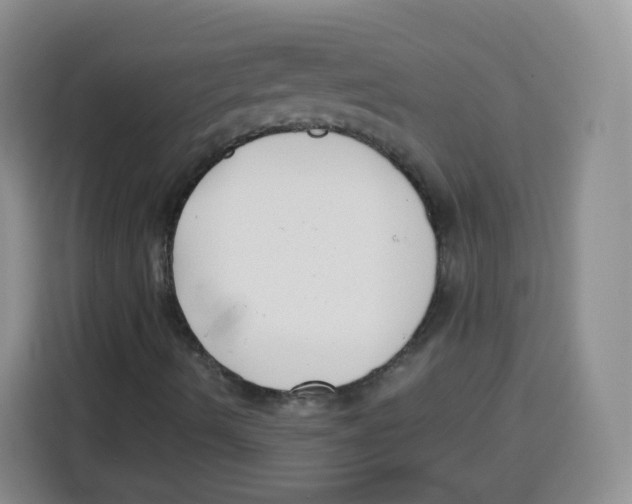 X0000115141490200911241455