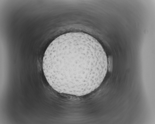 X0000115141491200911241455