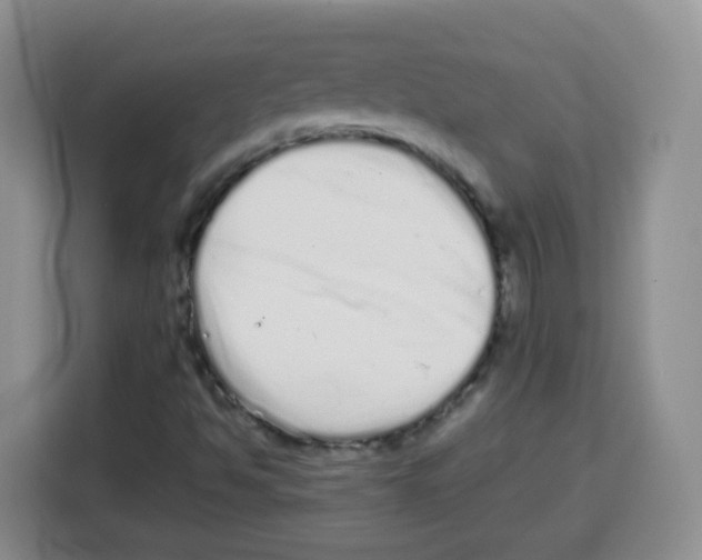X0000115141494200911241455