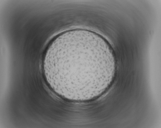 X0000115141499200911241455