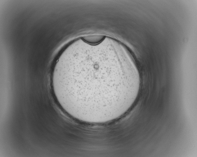 X0000115141503200911241455