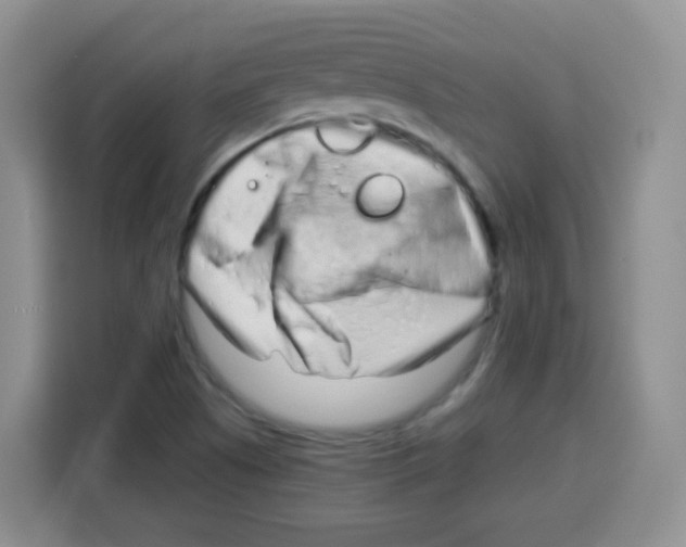 X0000115141505200911241455
